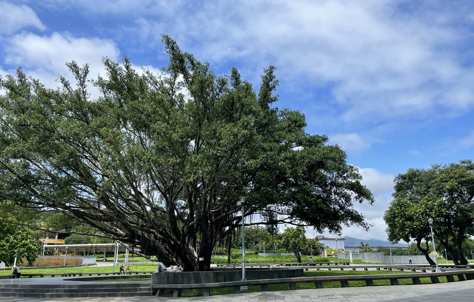 台北10大公園宅 漲最多均價已站上9字頭、1區不漲反跌